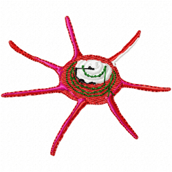 Seashell Embroidery Design 12 Seashell Embroidery Design 12